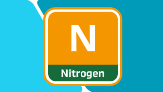 Nitrogen in Turf Management