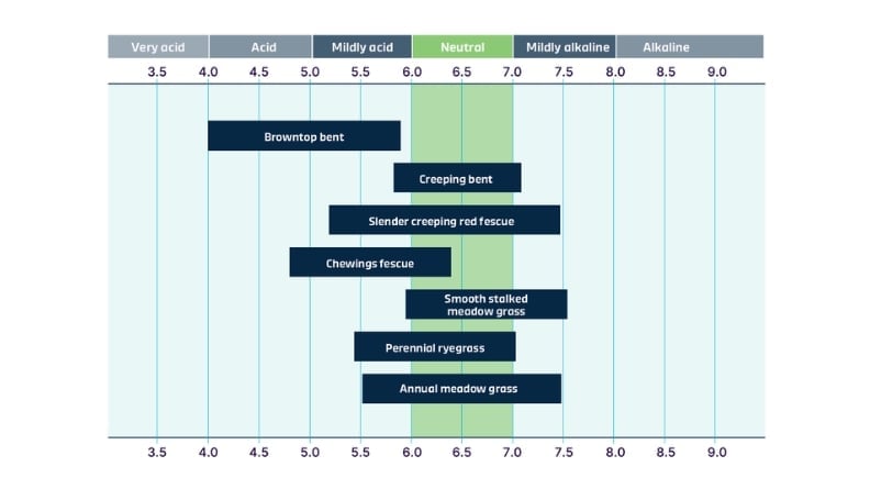 Chart showing the preferred soil pH ranges for different turfgrass species.