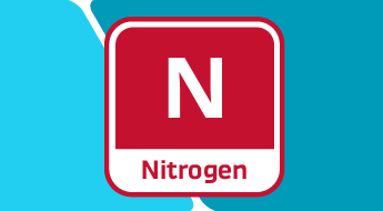 The Importance of Nitrogen in Plant Nutrition