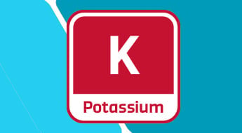 Potassium Fertilisers: Types, Benefits and How to Choose the Right Source