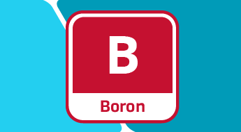 The Importance of Boron in Plant Nutrition