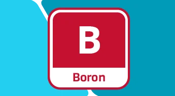 The Importance of Boron in Plant Nutrition