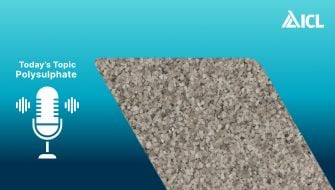The Bottom Line Podcast | Polyhalite Fast Facts
