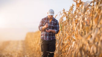 Fall Fertility Strategy: The Science Behind Polysulphate®