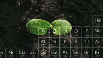Understanding Mulder’s Chart: The Key to Balanced Soil Nutrition