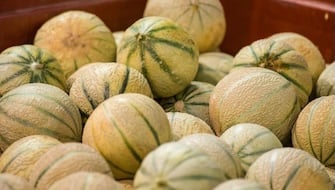Melon