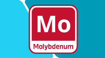The Importance of Molybdenum in Plant Nutrition