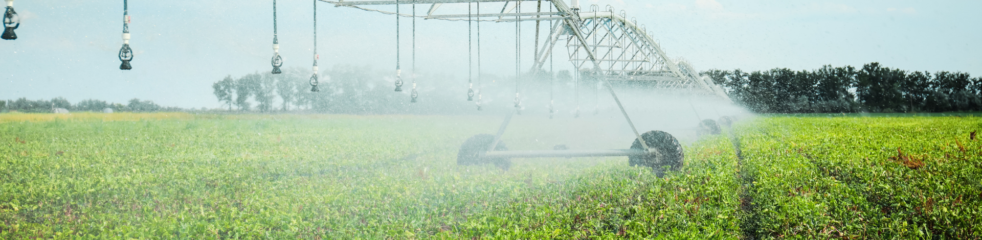 H2Flo: Make each drop of water and each gram of fertilizer count