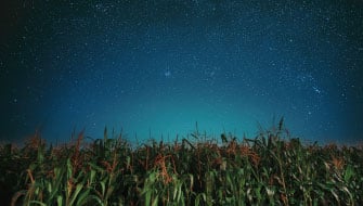 Maximizing Crop Nutrition & Profitability: Insights from ICL