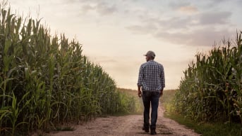 On-Demand Webinar | Fertilizer Source & Managing Salts, ROI & Soil Health