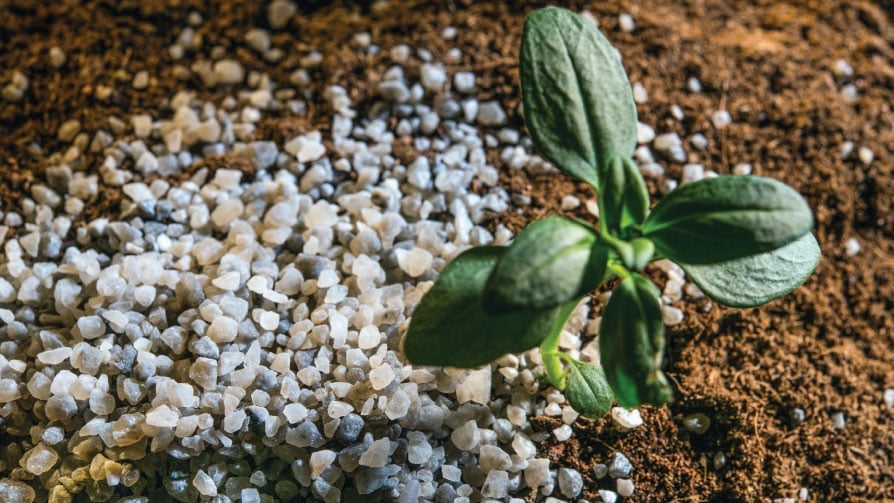 Polysulphate: A Modern Approach to Sulfur Nutrition