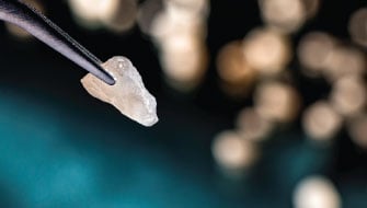 Polysulphate®: Multi-Nutrient Efficiency That Pays