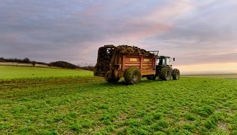 What are Organic Fertilizers?