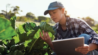 On-Demand Webinar: Systems-Based Nutrition for Vegetables
