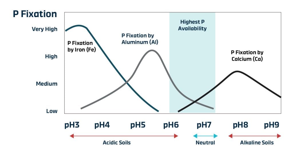 Phosphorus Fixation Chart with pH soil 