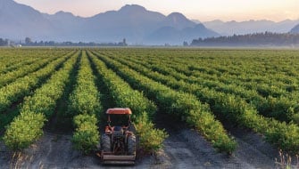 Leveraging pH for Acid-Loving Fruits and Berries