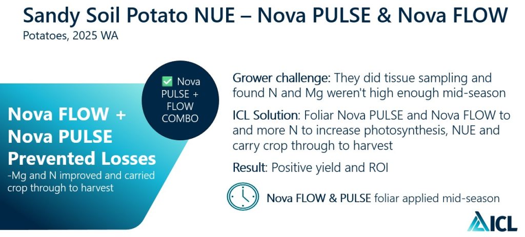 On-Farm Observations: Nova PULSE & Nova FLOW correct mid-season N & Mg deficiencies to protect potato harvest