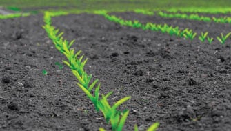 Still Planting? How to Improve Emergence, Roots, and Nutrient Efficiency This Spring