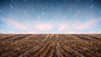 Micronutrients 101: From Boron to Zinc
