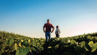 5 Fertilizer Choices That Can Make or Break Nutrient Use Efficiency