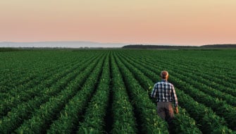 Applying Less Fertilizer This Year? Here’s How to Protect Crop Yield