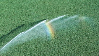 6 Signs Nutrient Uptake Is Limiting Yield Potential And What to Do Next
