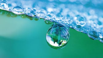 Foliar Solutions for Protecting This Year’s Investment