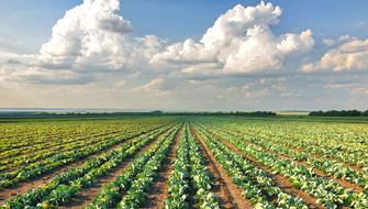 Where Lower Use Rates Meet Higher Performance
