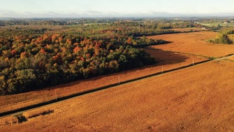 Post-Harvest Nutrients 101: Choosing the Right Nutrients for Fall Fertility