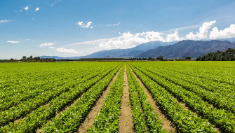 The Phosphite Fertilizer Growers Trust