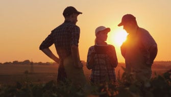 Rethinking Fall Sulfur: Three Reasons to Consider Polyhalite-Based Fertilizers