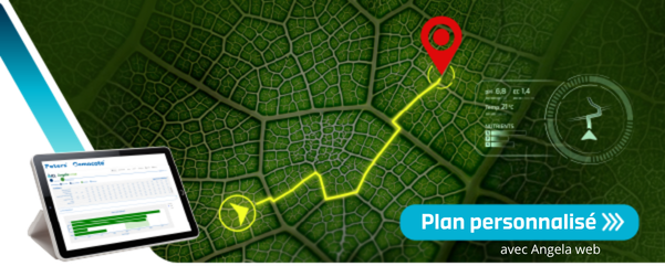 Plan personnalisé angela web