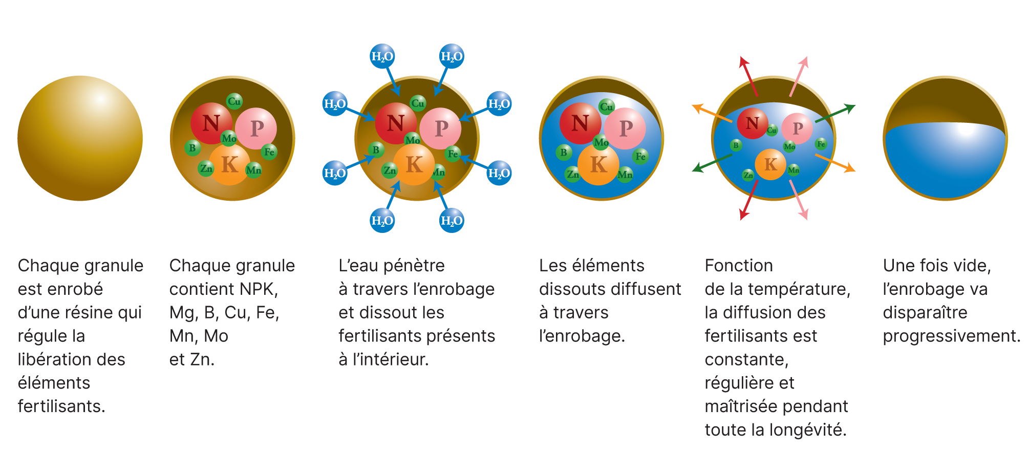 Engrais à libération contrôlée horticulture ornementale ICL