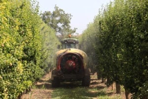 Pulvérisation foliaire vergers