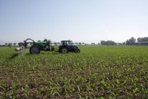 Champ agricole jeunes pousses, fertilisation