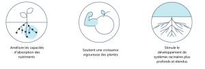 Actions ciblées de la Technologie Métabolites ICL