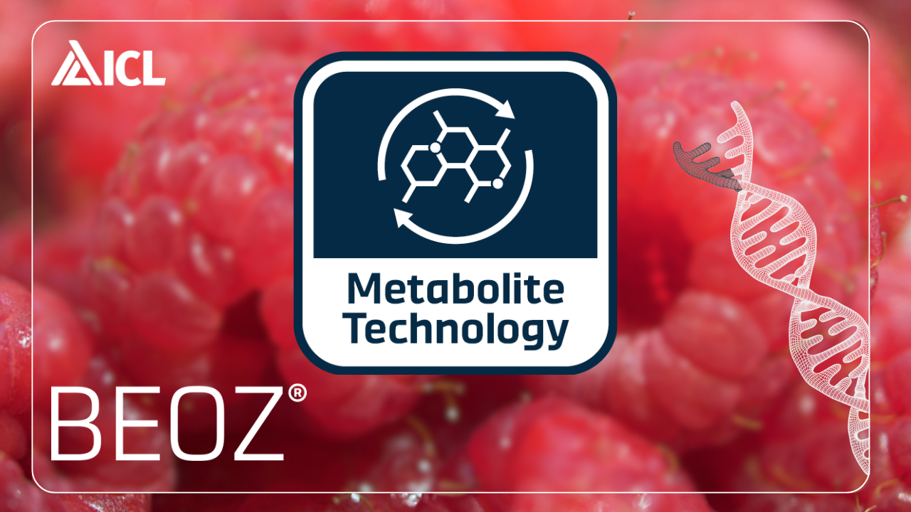 Biostimulants ICL nouvelle génération : le rôle caché des métabolites