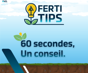 Experts terrain ICL partageant des conseils fertilisation adaptés aux réalités du terrain