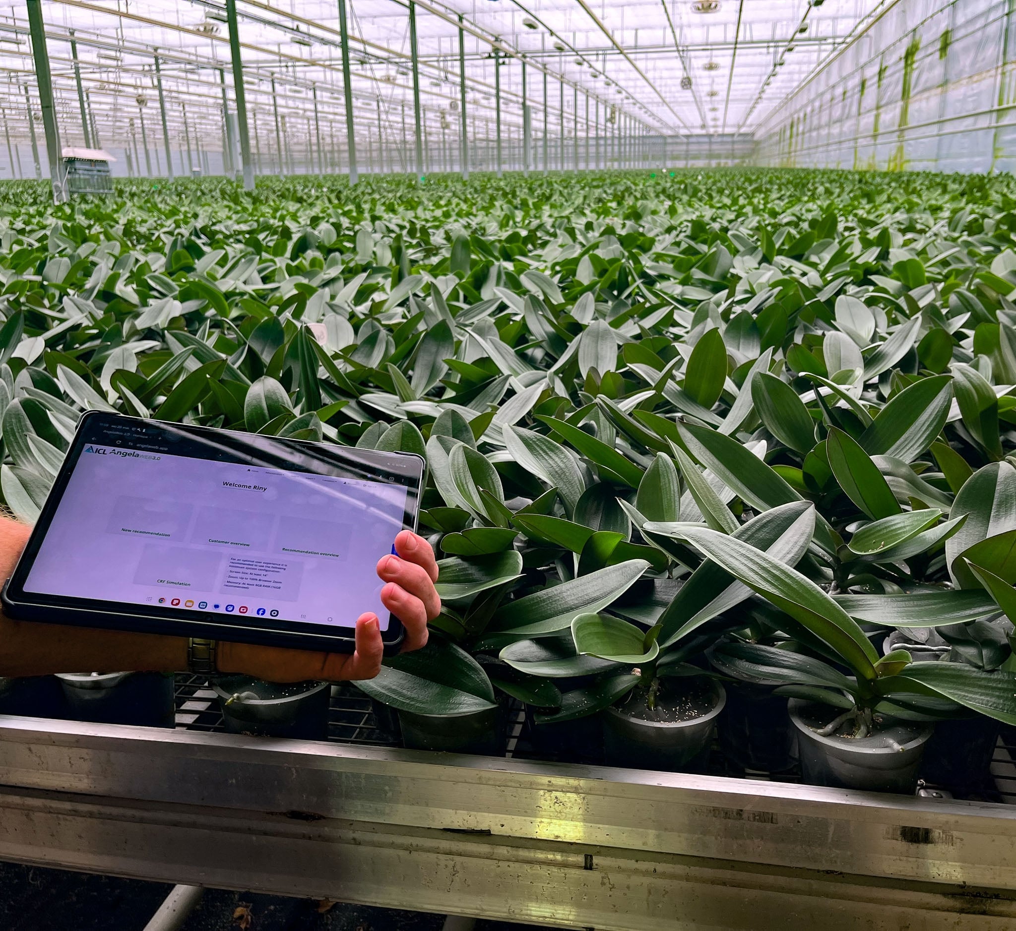 Utiliser les données pour cultiver des plantes plus intelligentes, plus écologiques et de meilleure qualité