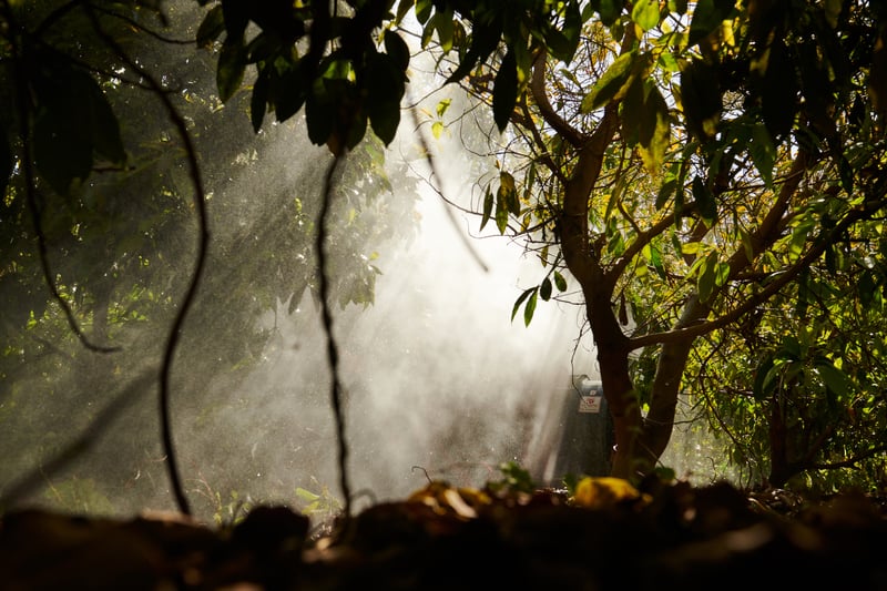Biostimulant foliaire
