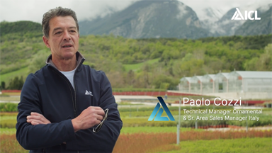 Faces of ICL - Paulo Cozzi in Italien | ICL Deutschland