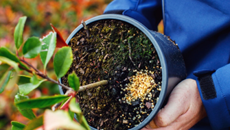 Container-Nachdüngung mit GreenFix