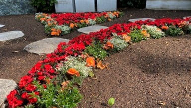 Mitteldeutscher Friedhofsgärtnertag 2026