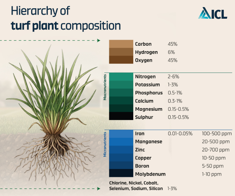 Diagram showing the hierarchy of turf plant composition, with potassium typically making up 1–3% of plant dry matter.