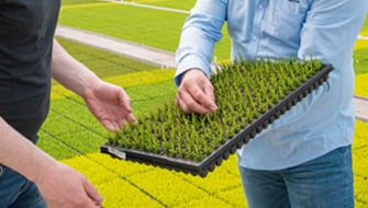 Cómo cultivar plantas más resilientes en 7 pasos