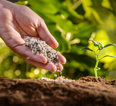 Eficiencia Polysulphate: Cuando cada nutriente cuenta