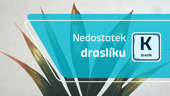 Nedostatek draslíku u okrasných rostlin: příznaky a náprava