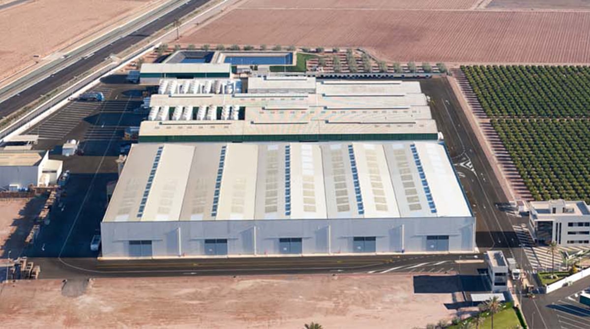 万向德农涨停分析：种业板块强势驱动