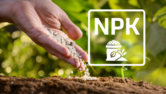 Concime NPK: significato, funzioni e usi in agricoltura professionale