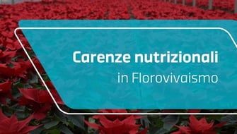 Come riconoscere le carenze nutrizionali delle piante e come intervenire